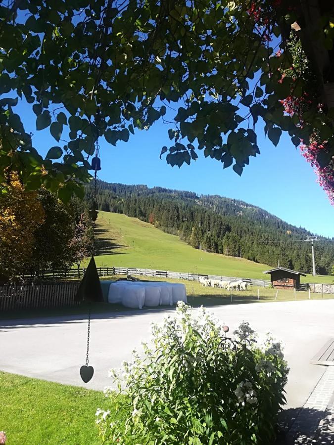 Walchauhof Hotel Flachau Kültér fotó