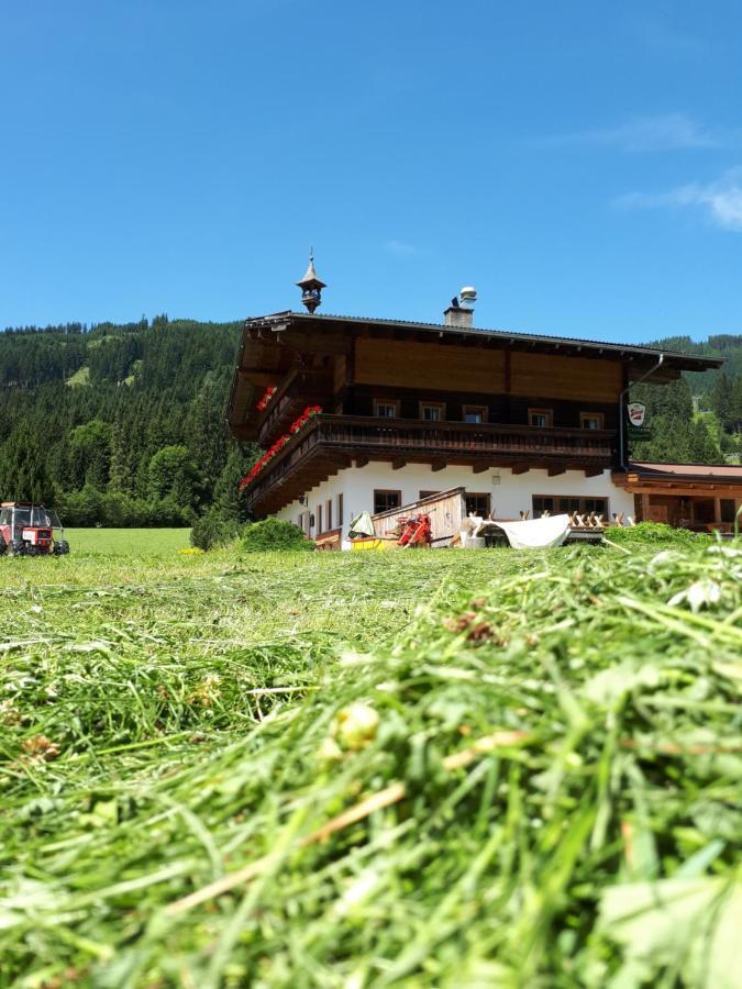 Walchauhof Hotel Flachau Kültér fotó