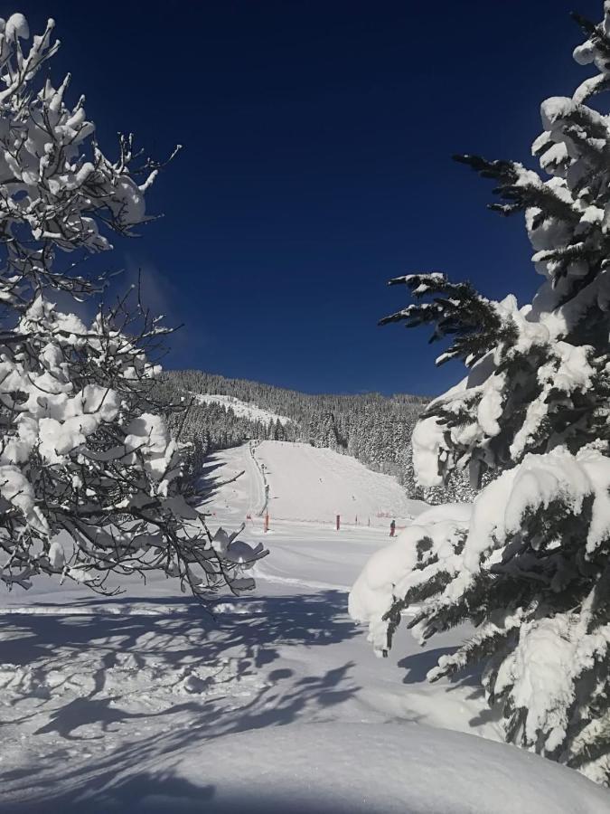 Walchauhof Hotel Flachau Kültér fotó